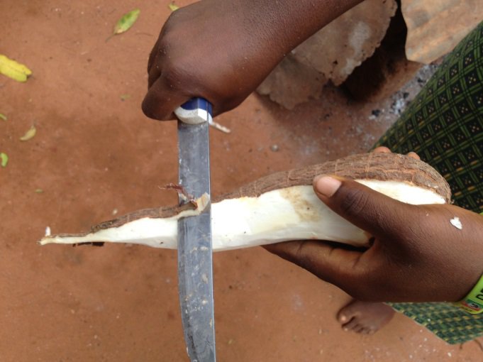 How to peel cassava back