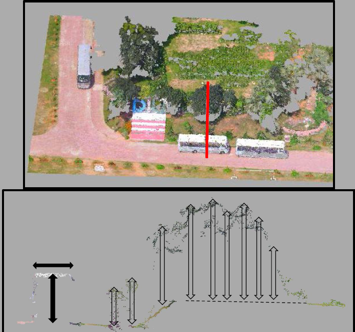 Trees Height calculation using drone mapping data