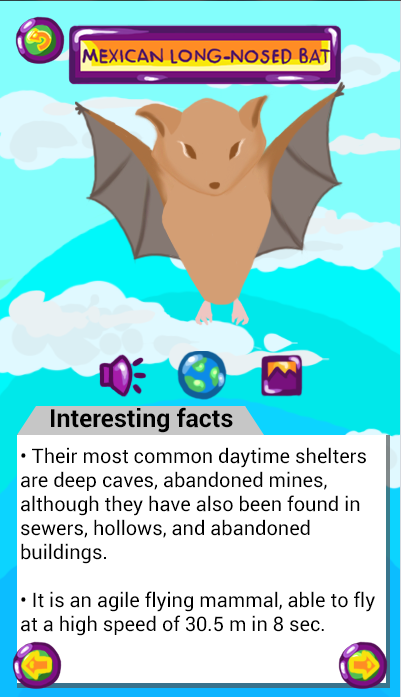 Mexican long-nosed bat information