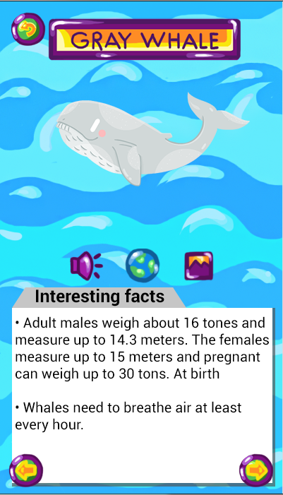 Whale information
