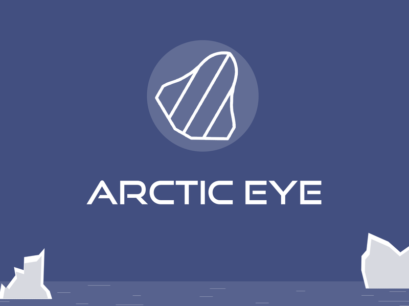Arctic Eye