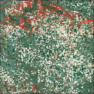 The Earth and Us small