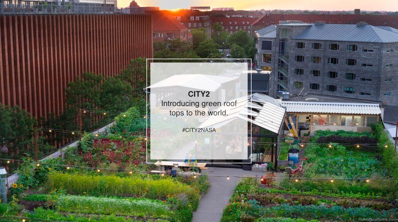 The concept is taking form. Introducing green roof tops to the world.