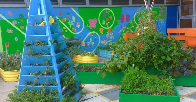 A School Garden NYC