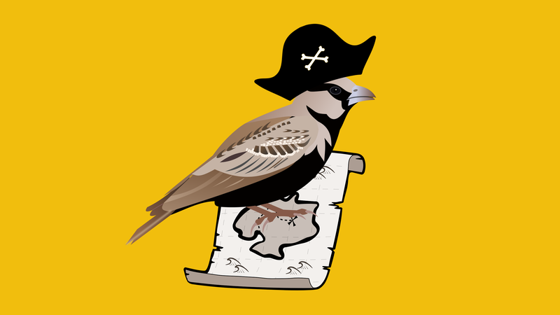 Cpt Lark Sparrow
